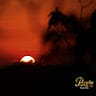 Picture of Paradise Products Costa Rica